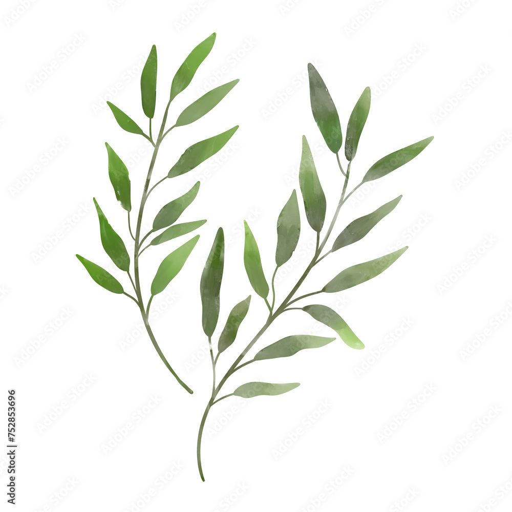 Transparent background leaves branch leaf foliage art.