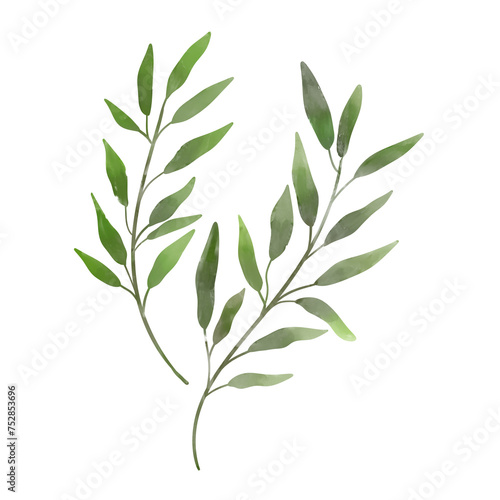 Transparent background leaves branch leaf foliage art.