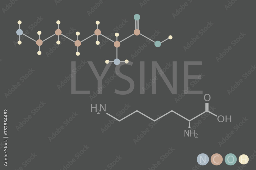 lysine molecular skeletal chemical formula lysine molecular skeletal chemical formula