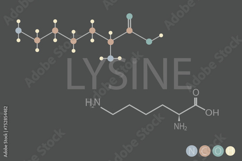  lysine molecular skeletal chemical formula