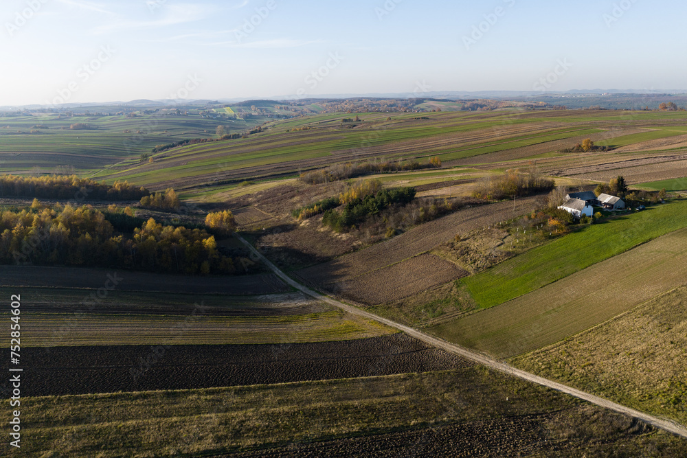 Suloszowa village in Krakow County. Aerial drone view of growing grain in the fields. Beautiful village with houses and fields in Poland. Village in the middle of the field from drone aerial view.