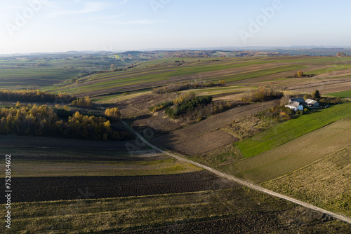 Suloszowa village in Krakow County. Aerial drone view of growing grain in the fields. Beautiful village with houses and fields in Poland. Village in the middle of the field from drone aerial view.