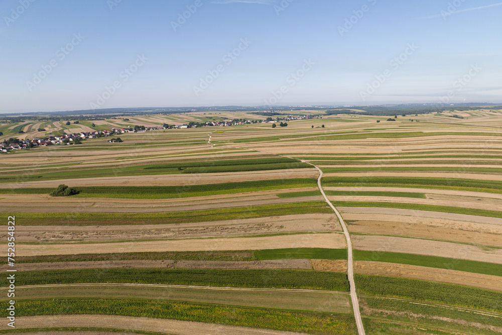 Suloszowa village in Krakow County. Aerial drone view of growing grain in the fields. Beautiful village with houses and fields in Poland. Village in the middle of the field from drone aerial view.