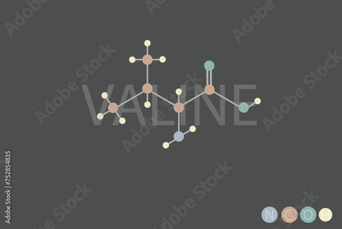 valine molecular skeletal chemical formula