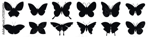 Butterfly silhouettes. Cute butterfly stencils summer insects with wings, flying butterflies. Winged exotic various moth decorative simple vector isolated