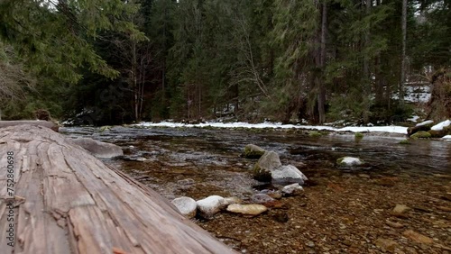 The untouched beauty of a mountain river in a winter landscape. 4K