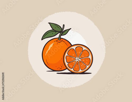 Set of drawn tangerines. Citrus fruits, oranges, mantarines. Vector illustration. Isolated elements.
