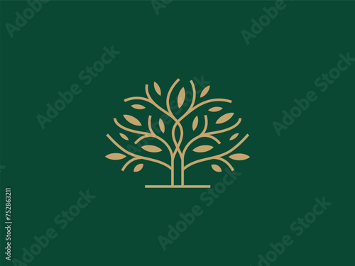 Professional Oak Tree Logo Design