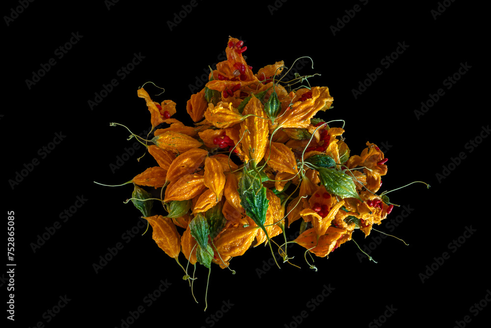 Closeup top view of colorful bunch of momordica charantia aka bitter melon, goya, bitter apple or balsam pear isolated on black background - obrazy, fototapety, plakaty 