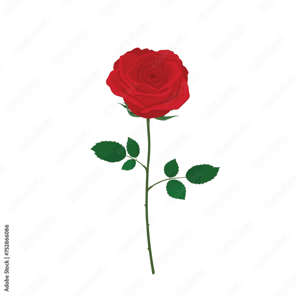 Single blooming red rose flat vector isolated on white background. Hand drawn illustration Single blooming red rose flat vector isolated on white background. Hand drawn illustration