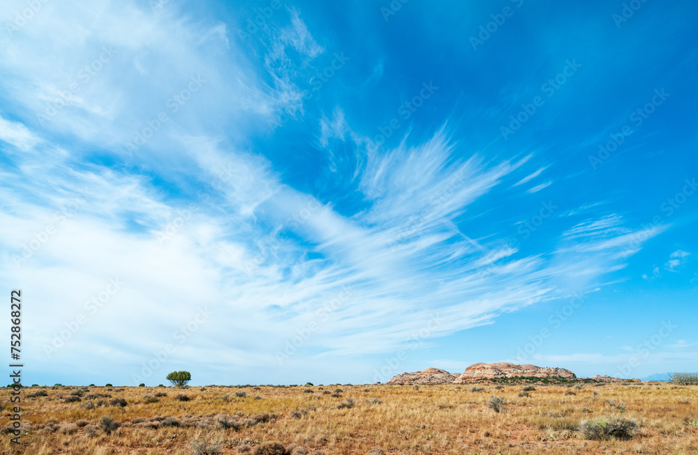 The Shrub Lands at Canyonlands National Park in southeastern Utah The Shrub Lands at Canyonlands National Park in southeastern Utah