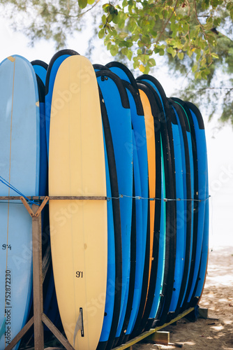 surfboards stand in a row, summer, ocean and surfing	