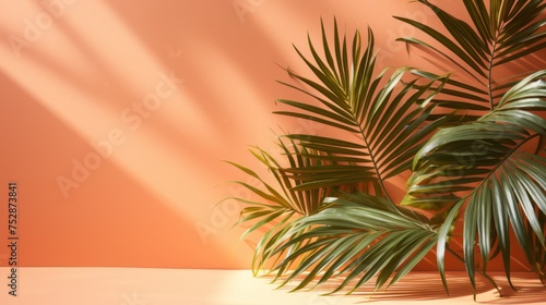 Tropical palm leaf shadow  summer vibe background