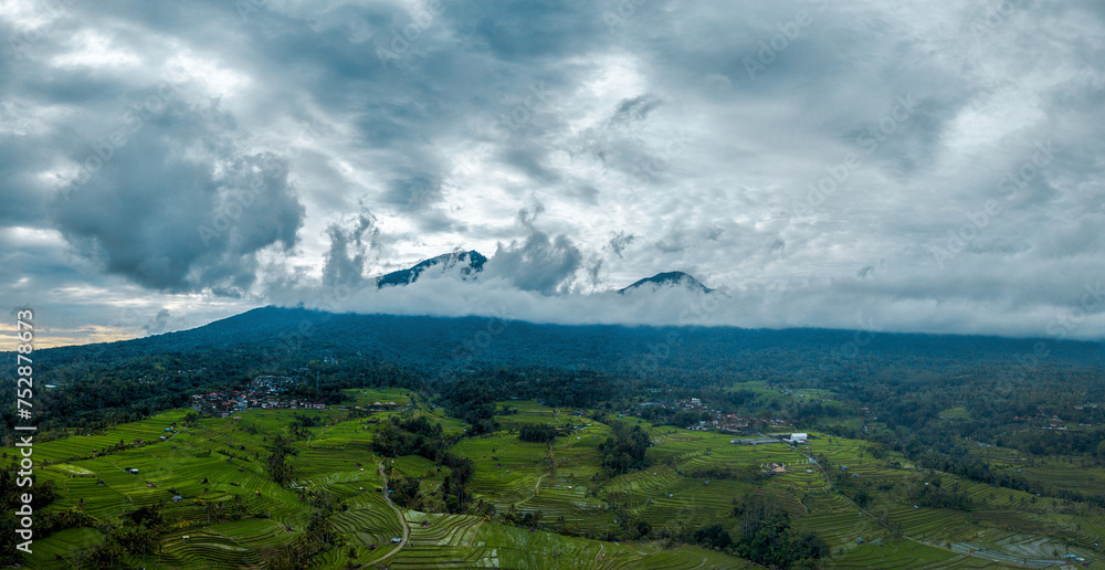 Obraz premium Jatiluwih Rice Terraces, Bali, Indonesia, Drone