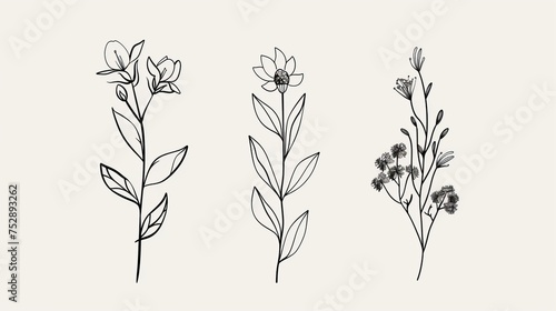 Floral branch and minimalist leaves for logo or tattoo. Hand drawn line wedding herb  elegant wildflowers. Minimal line art drawing for print  cover or wallpaper