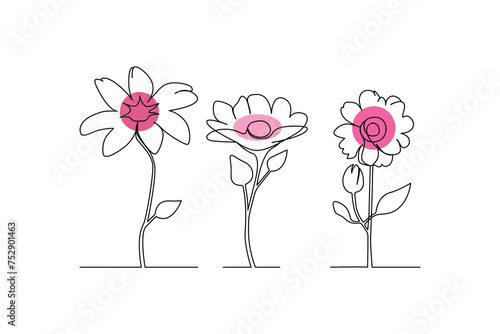 Continuous single-line flowers set, floral, botanical, rose, and minimalist flowers drawing outline art