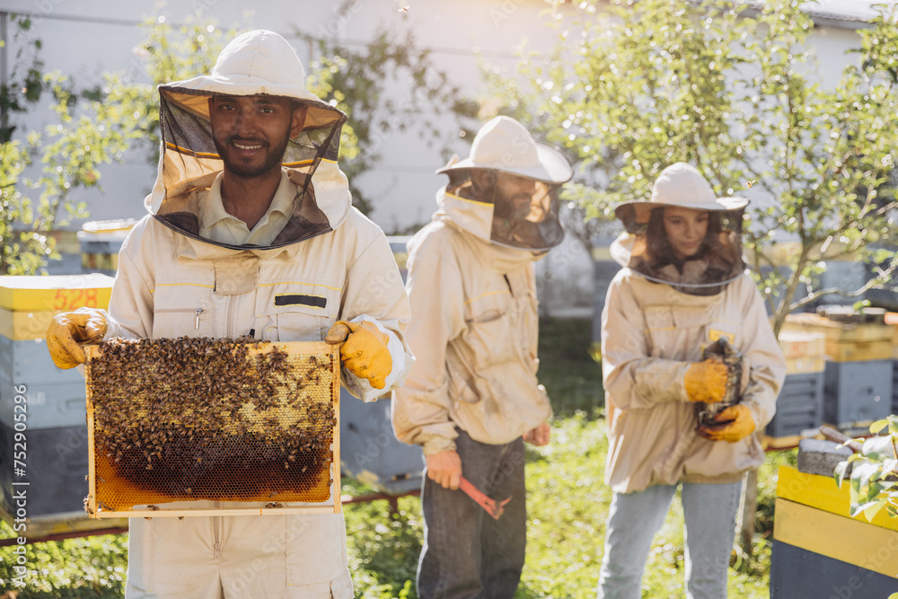 Beekeepers working to collect honey. Smiling beekeeper holding a wooden frame with honey and bees Beekeepers working to collect honey. Smiling beekeeper holding a wooden frame with honey and bees