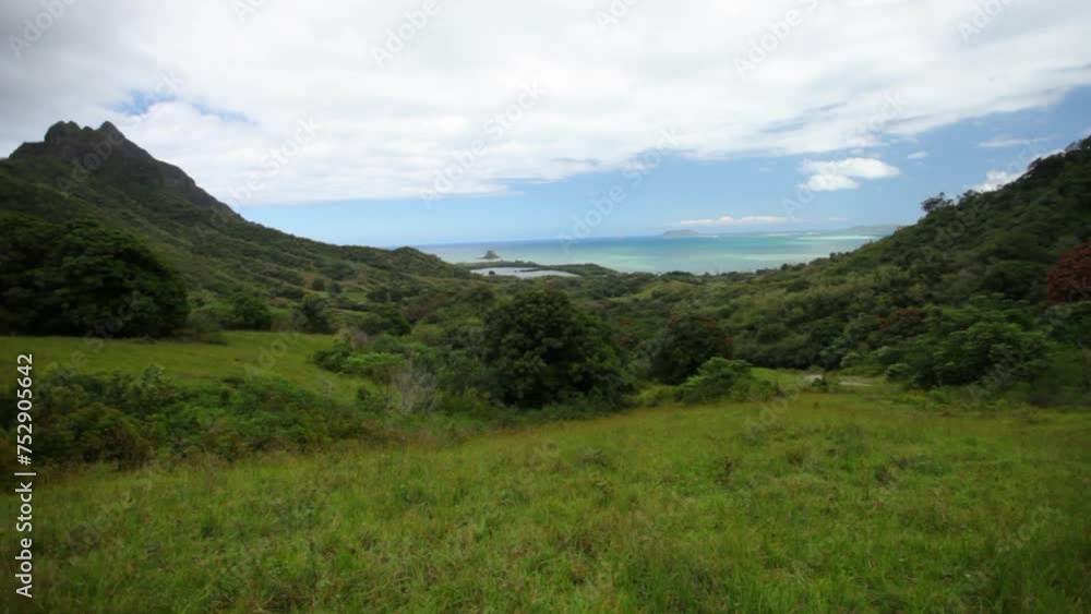 Magical Hawaiian Valley - steady movement Magical Hawaiian Valley - steady movement
