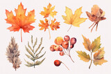 Set of watercolor autumn leaves on a white background.