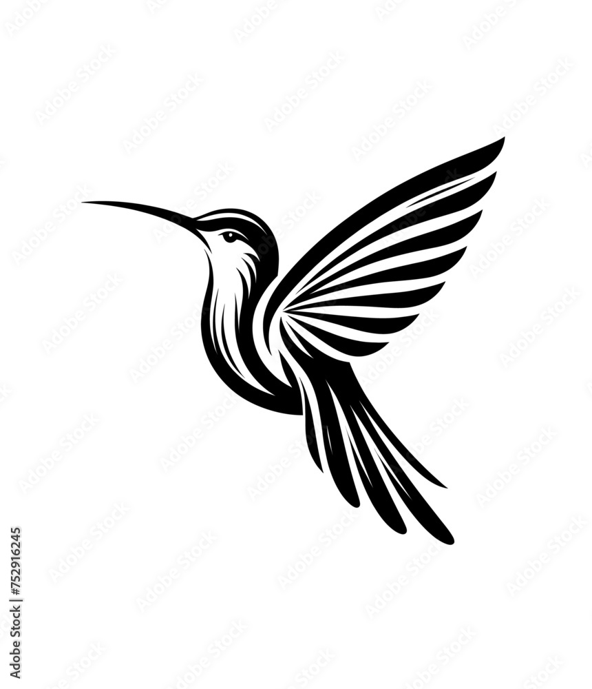 Fototapeta premium colibri or humming bird isolated vector illustration