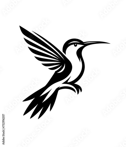 colibri or humming bird isolated vector illustration