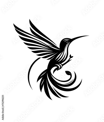colibri or humming bird isolated vector illustration