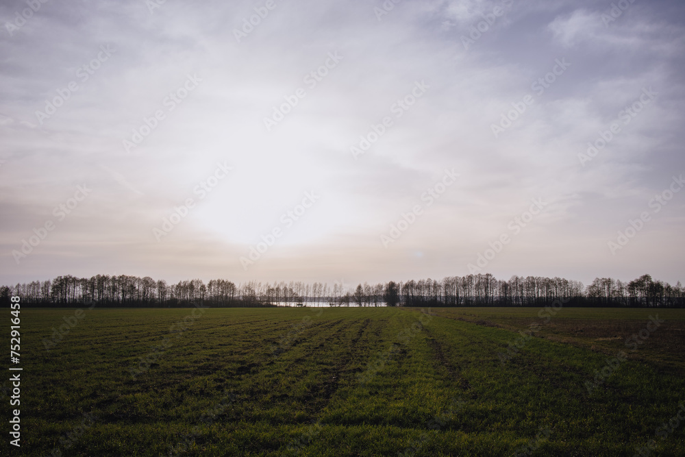 Obraz premium landscape with clouds