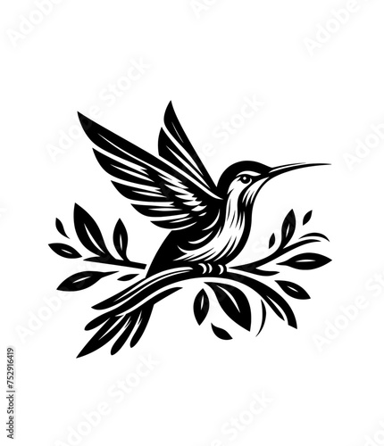 colibri or humming bird isolated vector illustration