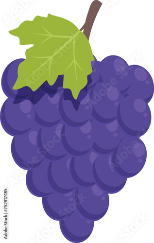Red grapes fruit icon cartoon vector. Factory basket. Sector viticulture produce