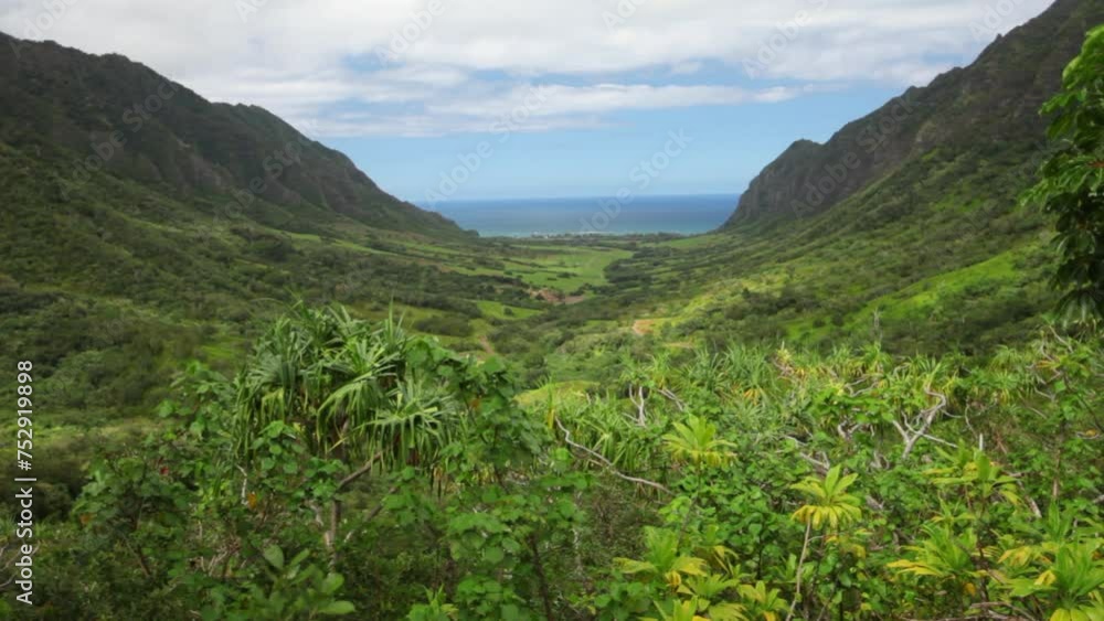 Kualoa ranch in beautiful Hawaii - high, wide, locked off shot Kualoa ranch in beautiful Hawaii - high, wide, locked off shot