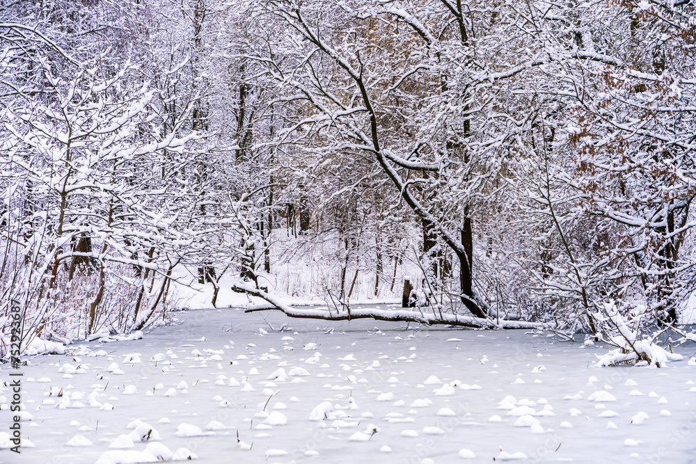 magical and snowy winter in a picturesque park
