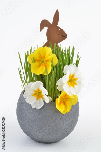 Easter bunny and primorse with grass in pot.