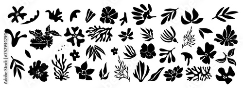 Set of flower and leaves silhouettes. Hand drawn floral design elements, icons, shapes. Wild and garden flowers, leaves black and white outline illustrations on transparent background.