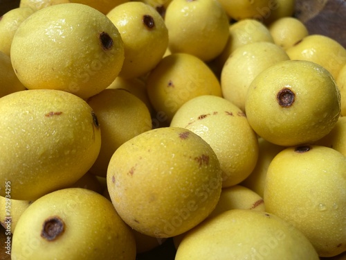 Marula fruit used for food and cosmetic oils and anti-ageing creams
