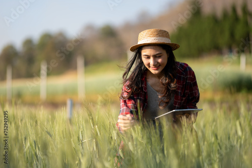 A young woman closely examines a wheat crop while holding a digital tablet in a sunny field. Record and track growth