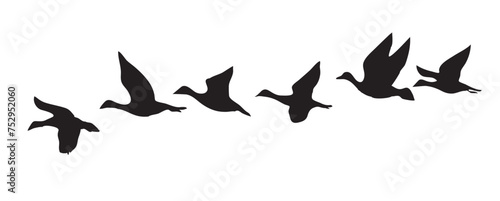 Silhouette of a birds migration vector icon