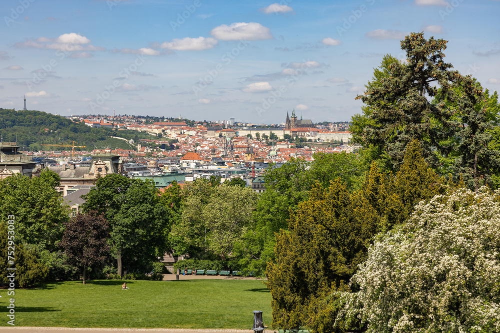 Naklejka premium overview of Praque with trees in the foreground