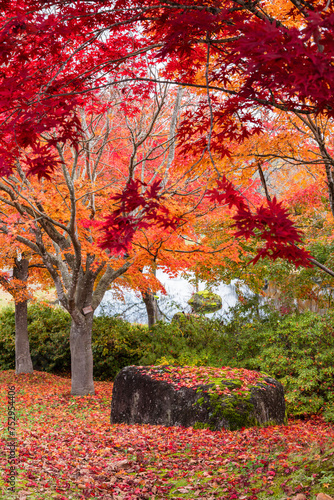 日本 青森県黒石市の虹の湖の紅葉