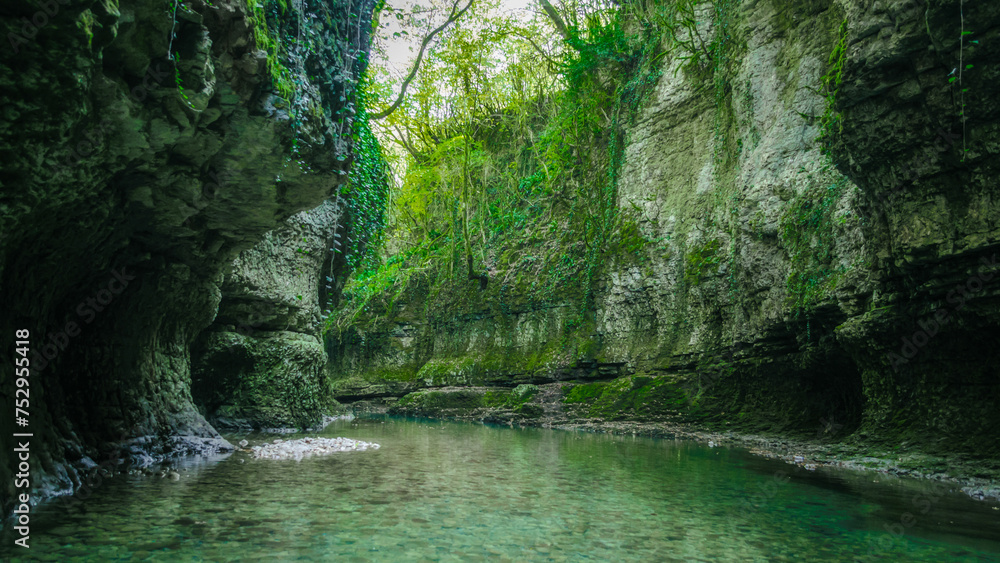 Naklejka premium river in the mountains with green plants in Georgia