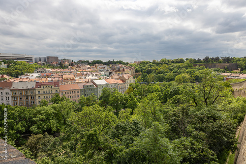 overview Praque with trees in foreground