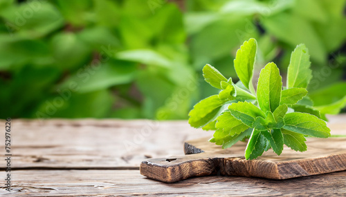 Old wooden table with Stevia leaves; selective focus, bokeh, copy space photo