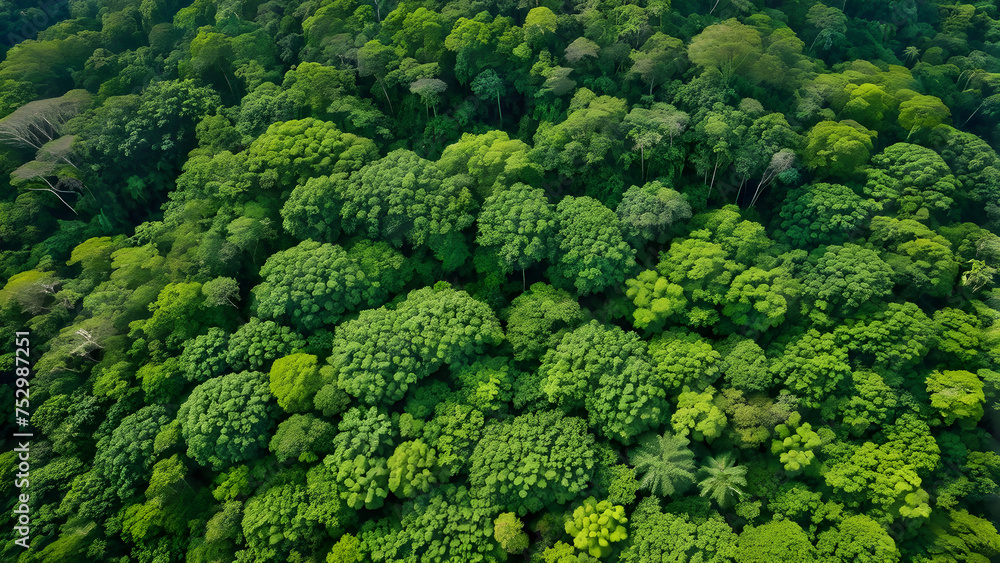 A photo of a forest with dense trees looking down from the sky. generative AI