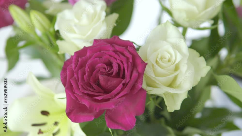 Beautiful Pink and White Roses with Petals and a Blurry Background featuring a Bouquet of Flowers, signifying Love and Romance Beautiful Pink and White Roses with Petals and a Blurry Background featuring a Bouquet of Flowers, signifying Love and Romance