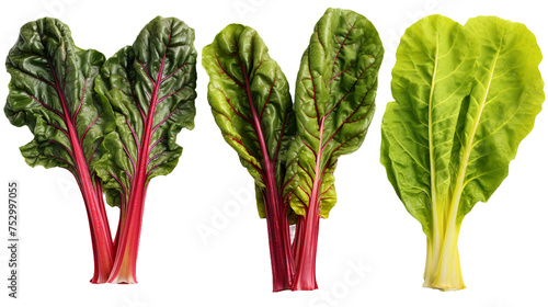 Swiss Chard Collection: Fresh, Organic Vegetables for Culinary Creations, Isolated on Transparent Background