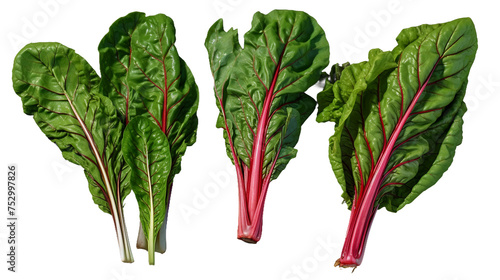 Swiss Chard Collection: Fresh, Organic Vegetables for Culinary Creations, Isolated on Transparent Background