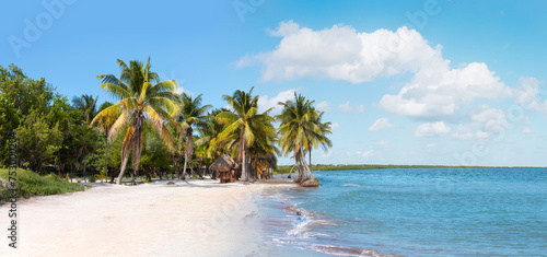 Fototapeta Naklejka Na Ścianę i Meble -  Paradise Sunny beach with palms and turquoise sea. Summer vacation and tropical beach concept - Cancun, Mexico