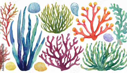 Set of colorful corals and seaweed. Marine plants and aquarium algae on white background. Underwater flora hand painted watercolor illustration. Under the sea clip art