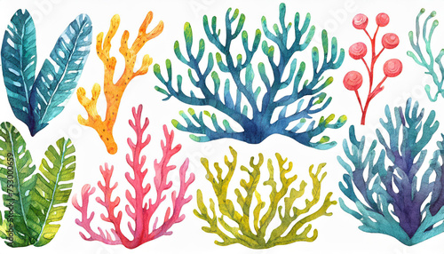 Set of colorful corals and seaweed. Marine plants and aquarium algae on white background. Underwater flora hand painted watercolor illustration. Under the sea clip art