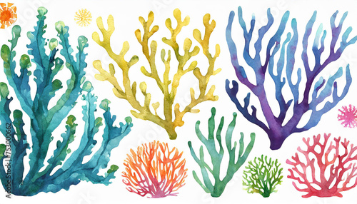 Set of colorful corals and seaweed. Marine plants and aquarium algae on white background. Underwater flora hand painted watercolor illustration. Under the sea clip art