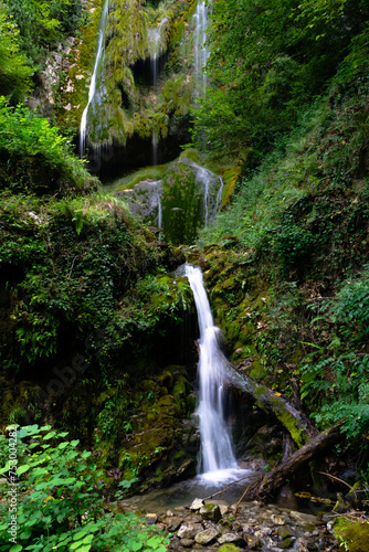 Waterfall Flowing Through Lush Green Forest